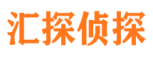 龙文私家调查公司